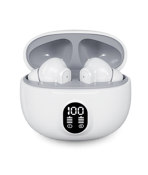 ZENTRIX 895B Pro Wireless Bluetooth Earbuds – LED Digital Display, Crystal Clear HD Calls, Type-C Fast Charging & Deep Bass Earbuds - Zentrix